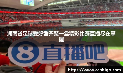 湖南省足球爱好者齐聚一堂精彩比赛直播尽在掌握